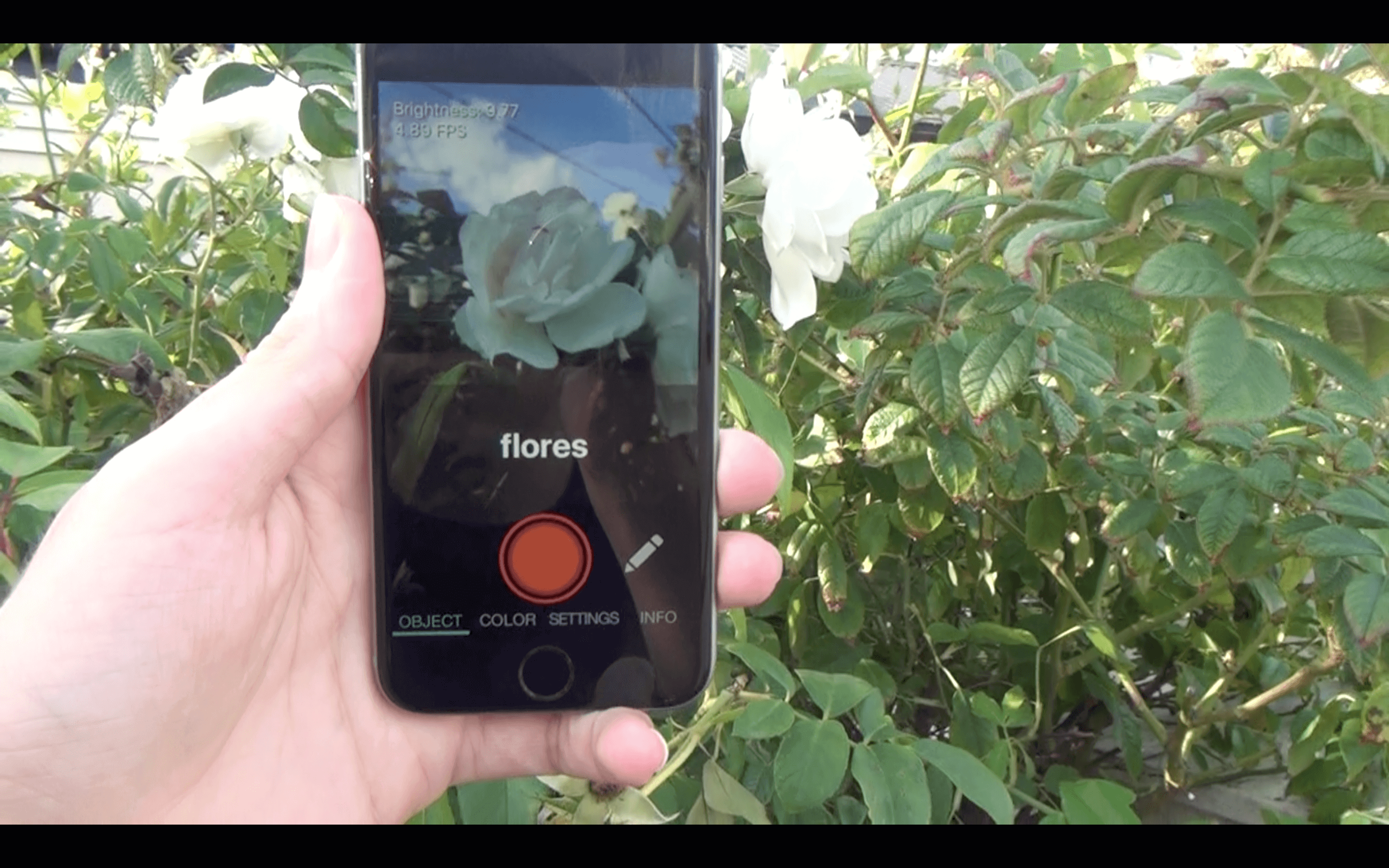 Aipoly, umělá inteligence v akci - květina