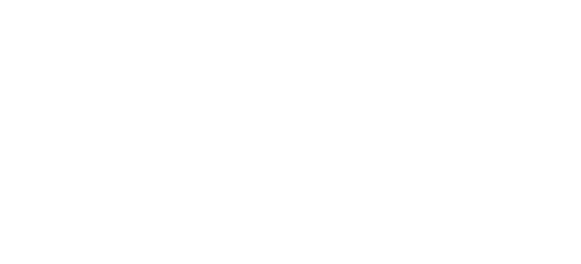 Heraeus