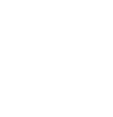 IntelIS