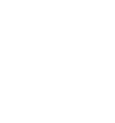 MiniPOS