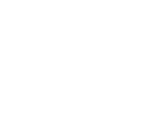 Retia