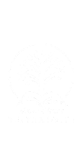 Vejvanovice
