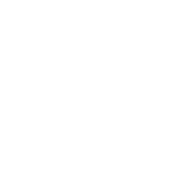 VL Media